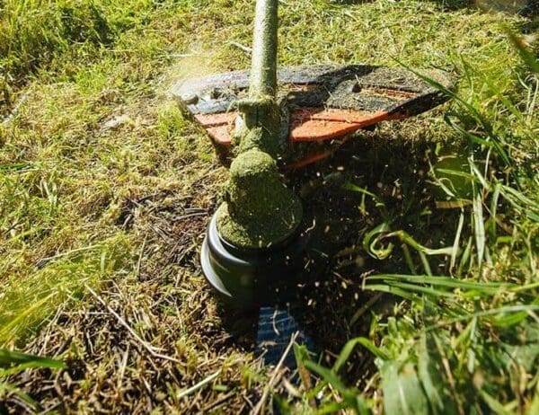 Echo 21.2Cc Brushcutter / Trimmer - Srm-237Tes/L | Middlewich Machinery 237tesl1