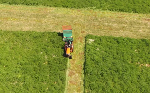 Wessex Stc Flail Collector / Sweeper Collector / Scarifier Collector Stc-120 | Stc-180 | Middlewich Machinery Wessex stc flail collector / sweeper collector / scarifier collector stc-120 | stc-180 - image 3